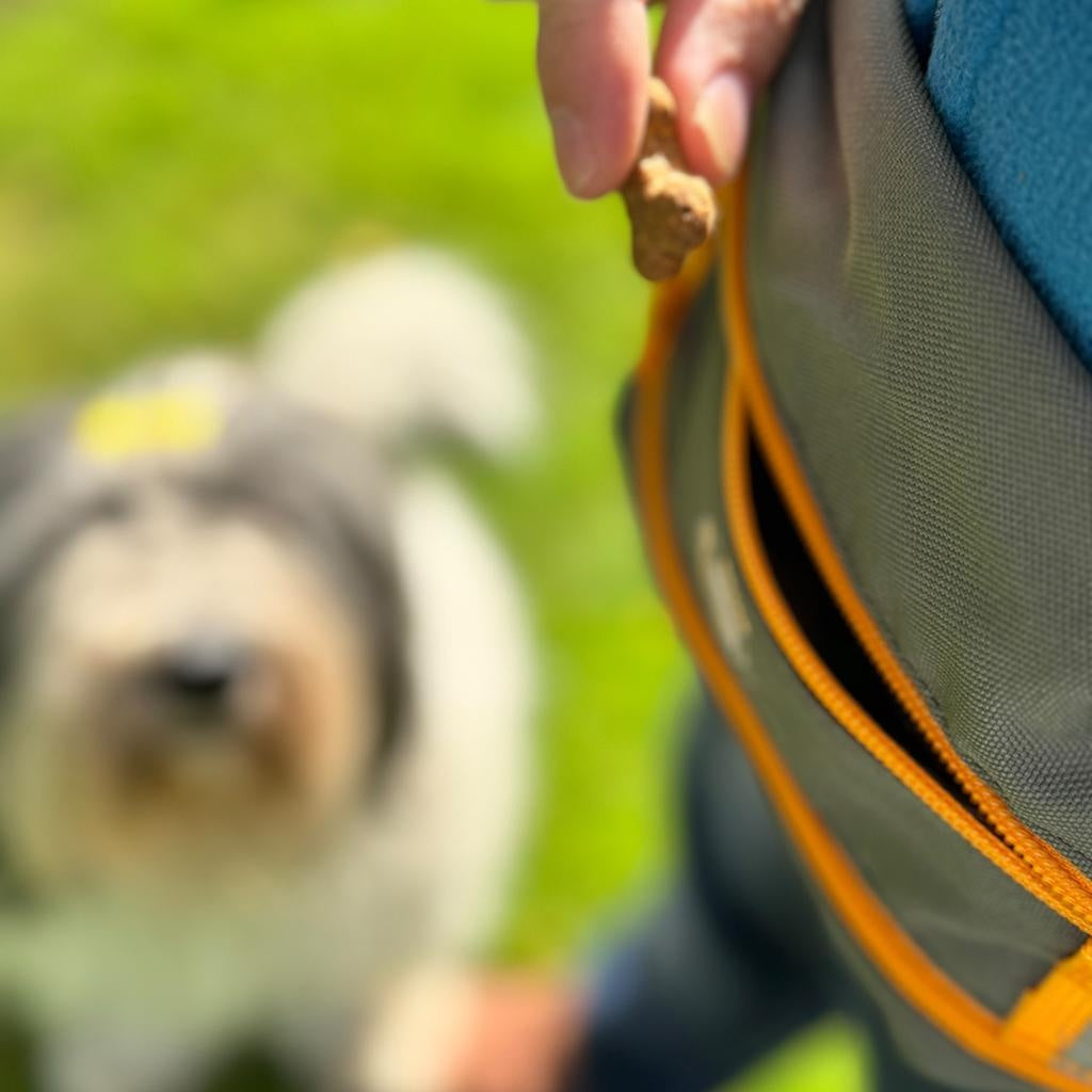 Oceanboundbags von Beadbags Gürteltasche Atalantik grau mit Hund 1